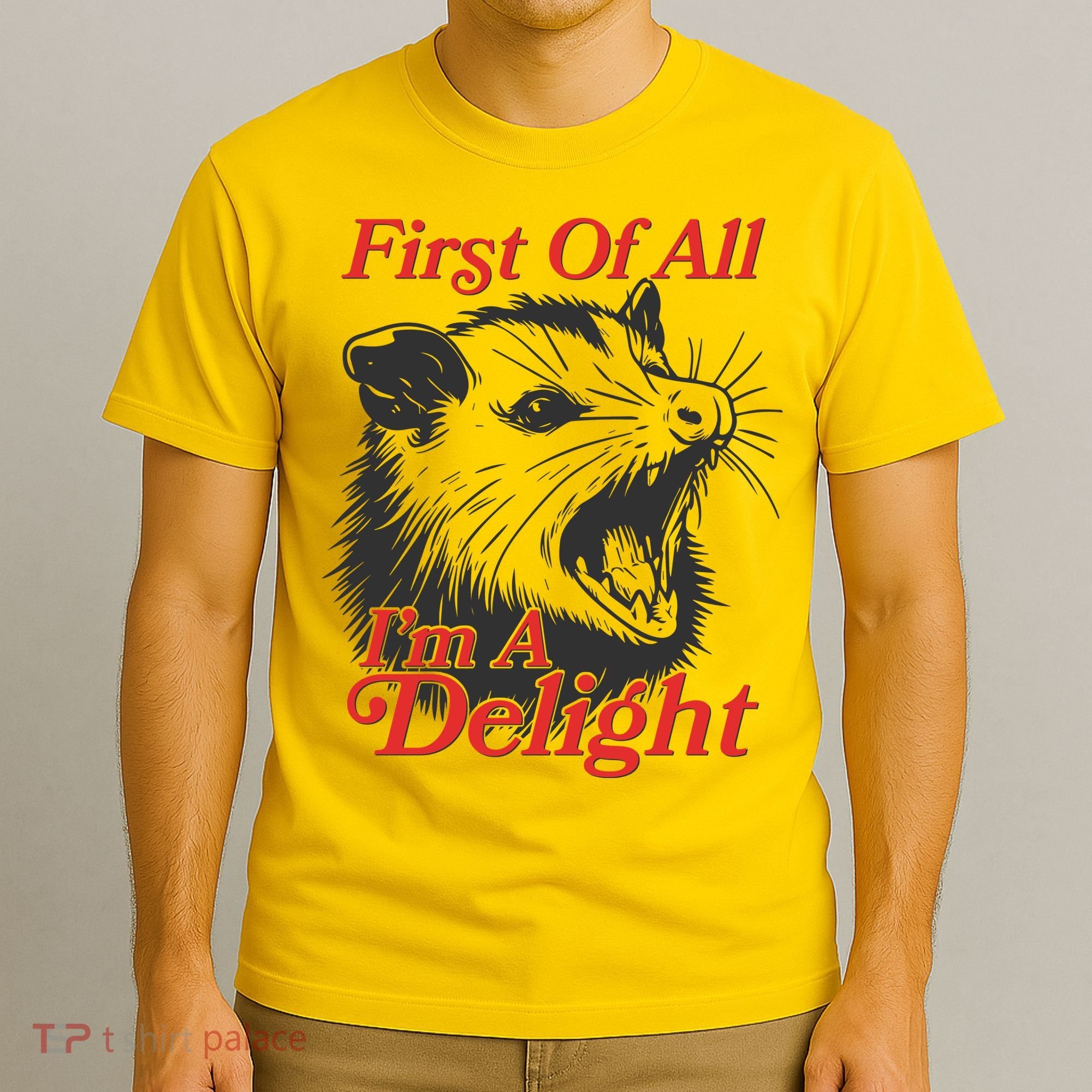 Funny Opossum First Of All Im A Delight T-Shirt