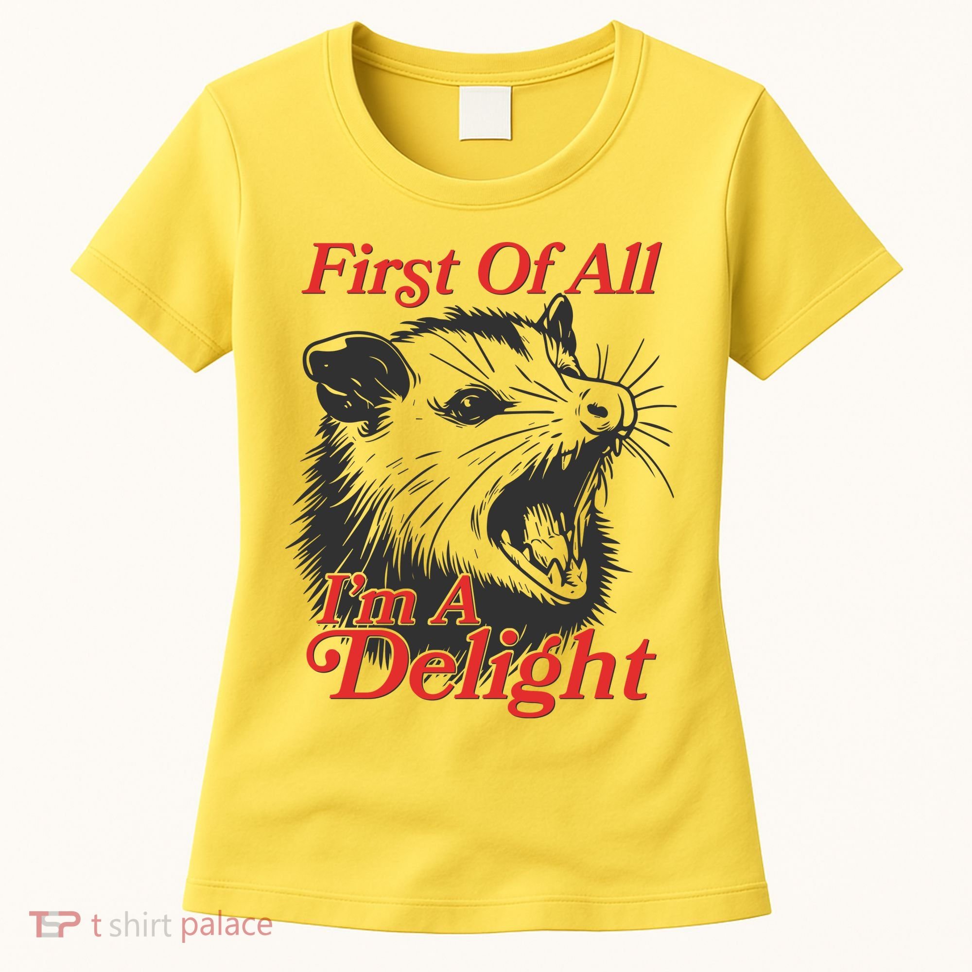 Funny Opossum First Of All Im A Delight Women's T-Shirt