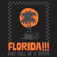 Florida One Hell Of A Drug Tortured Poets Ttpd Women's Sweatshirt thumb 2