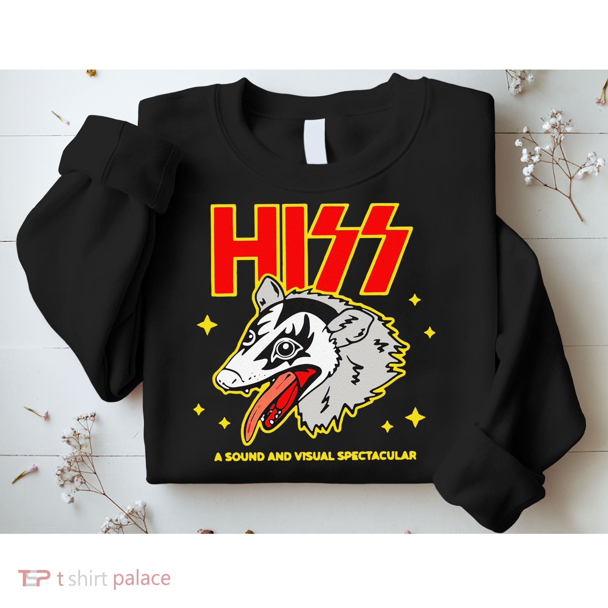 Funny Opossum Hiss A Sound And Visual Spectacular Gift Sweatshirt
