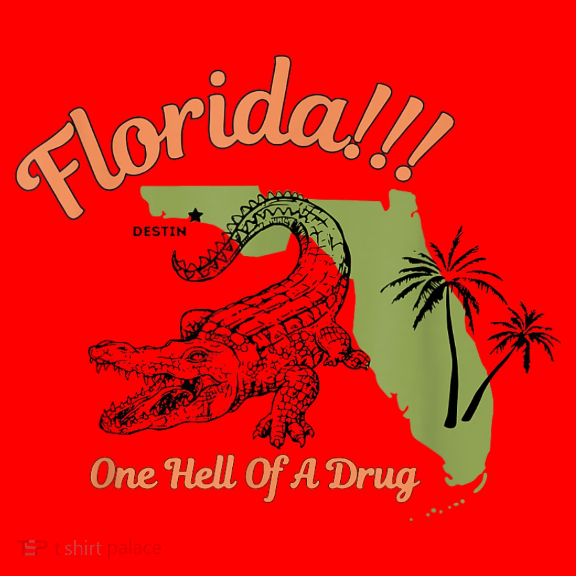 Florida One Hell Of A Drug Funny Summer Beach Santa Hat