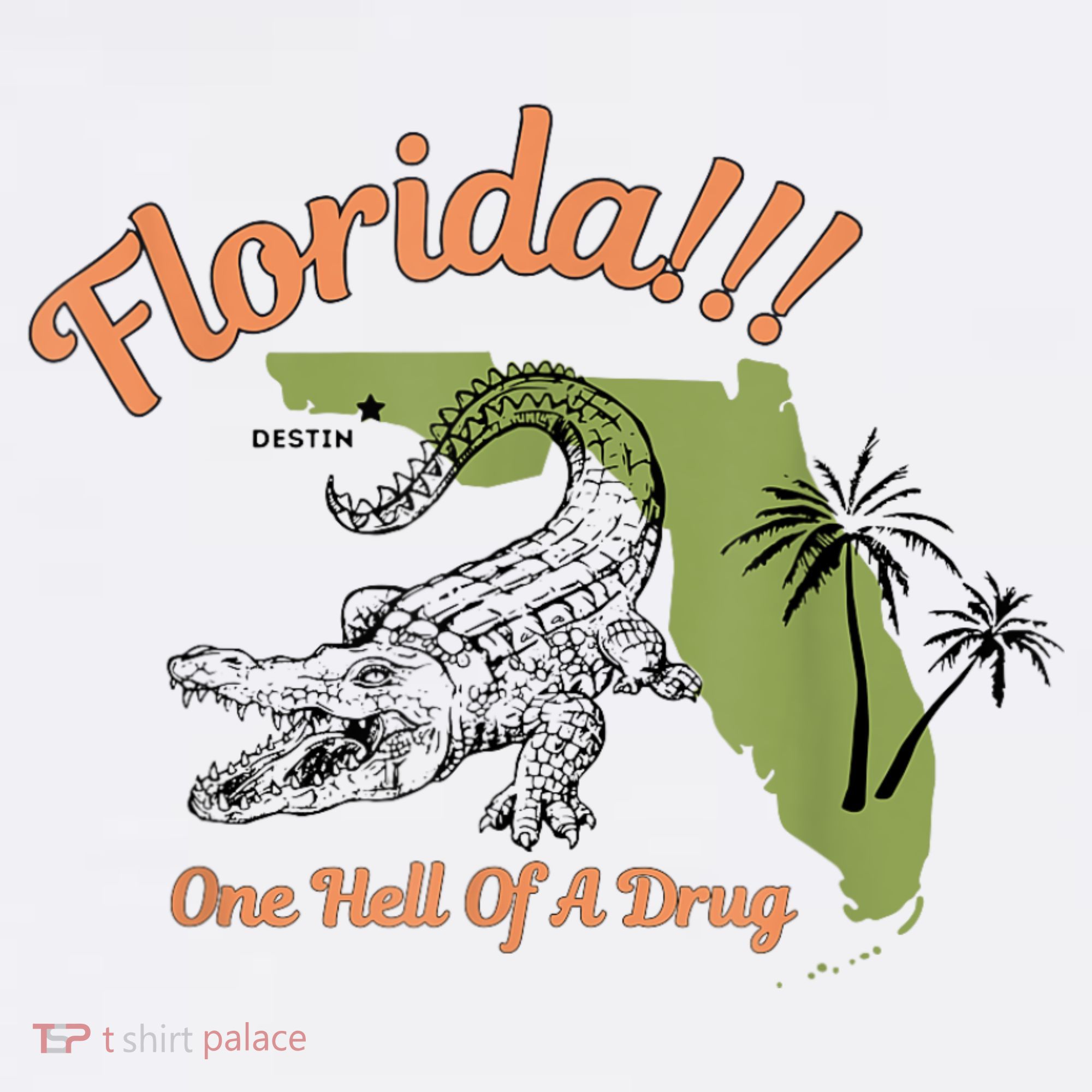 Florida One Hell Of A Drug Funny Summer Beach T-Shirt
