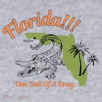 Florida One Hell Of A Drug Funny Summer Beach Women's Sweatshirt thumb 2