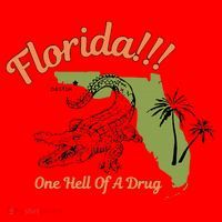 Florida One Hell Of A Drug Funny Summer Beach Santa Hat thumb 1