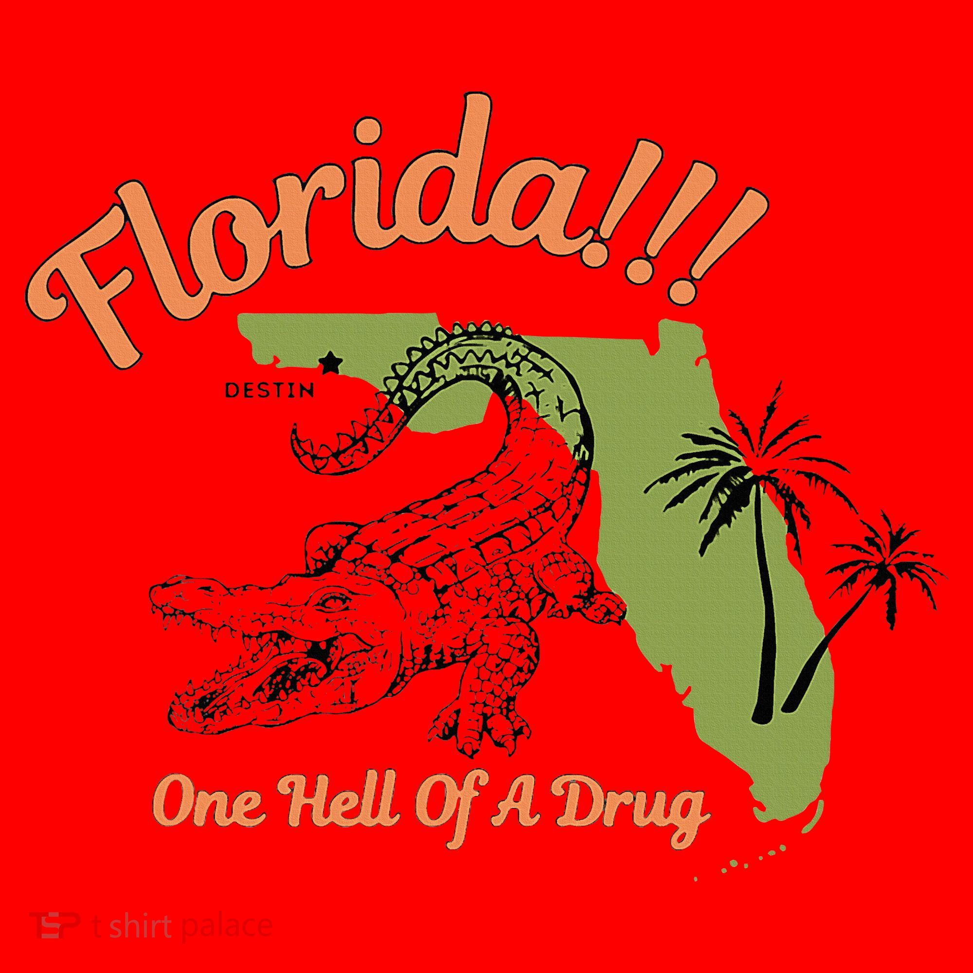 Florida One Hell Of A Drug Funny Summer Beach Santa Hat