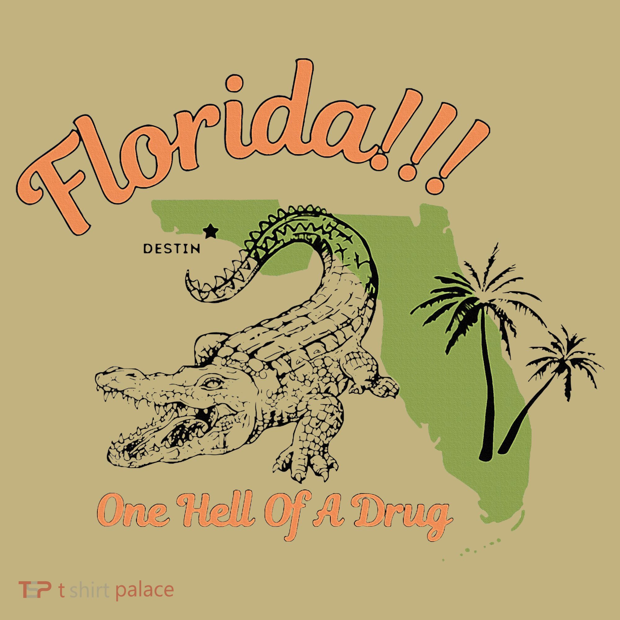 Florida One Hell Of A Drug Funny Summer Beach T-Shirt