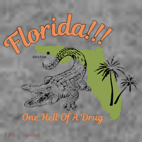 Florida One Hell Of A Drug Funny Summer Beach Toddler Hoodie thumb 2