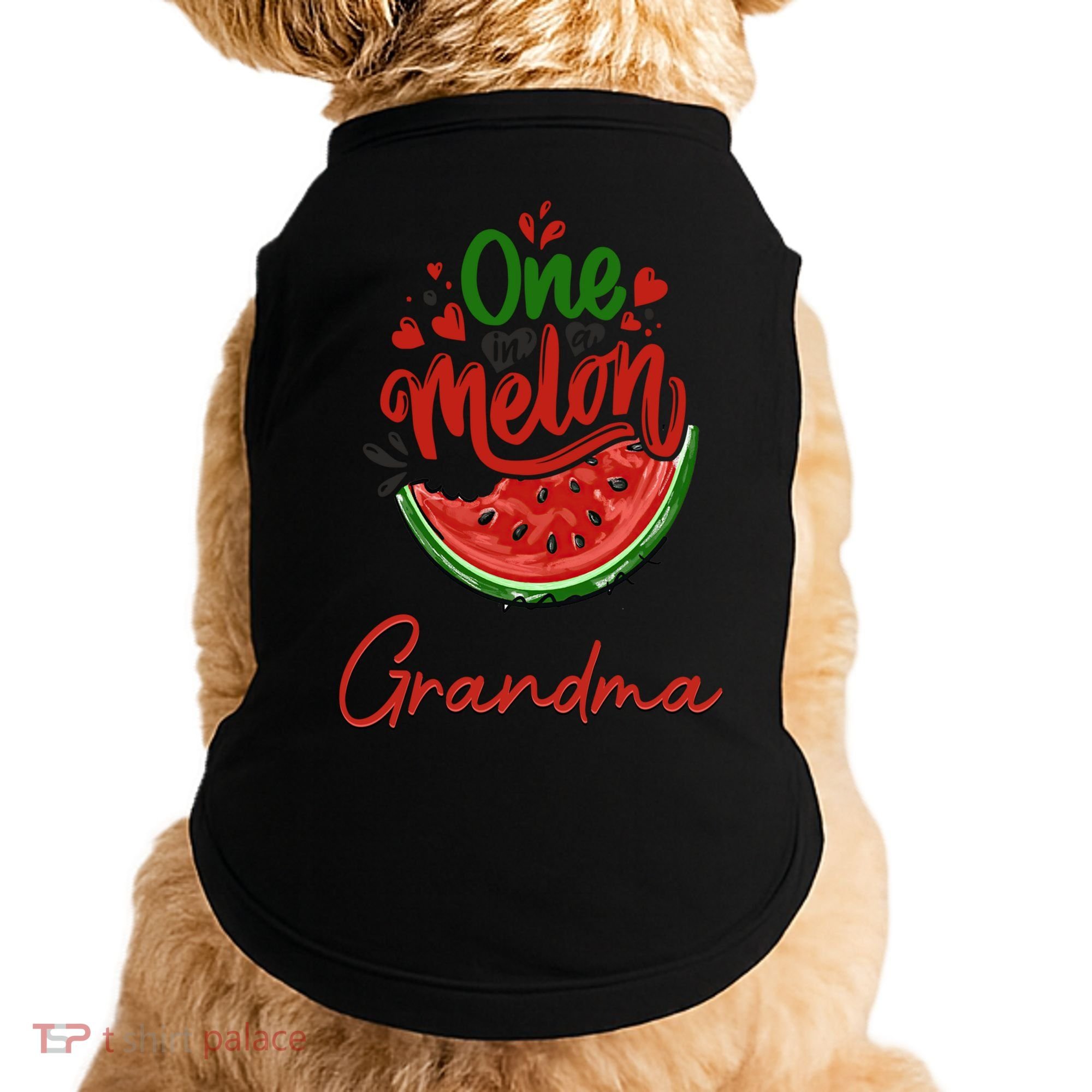 Funny One In A Melon Grandma Matching Group Funny Gift Doggie Tank