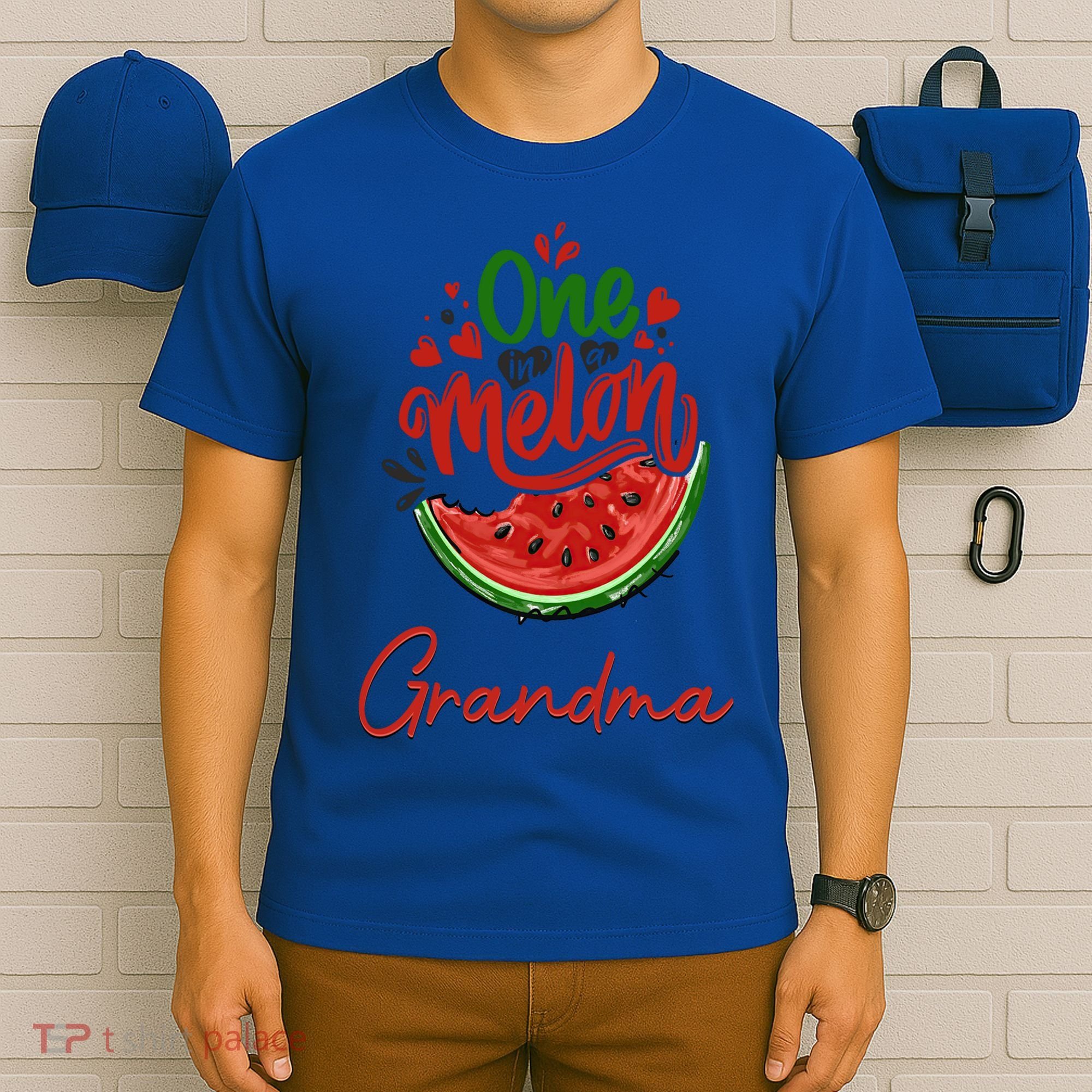 Funny One In A Melon Grandma Matching Group Funny Gift T-Shirt