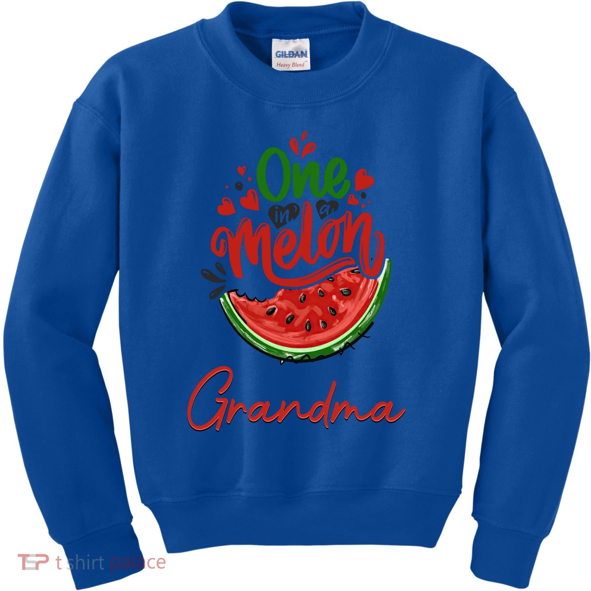 Funny One In A Melon Grandma Matching Group Funny Gift Kids Sweatshirt