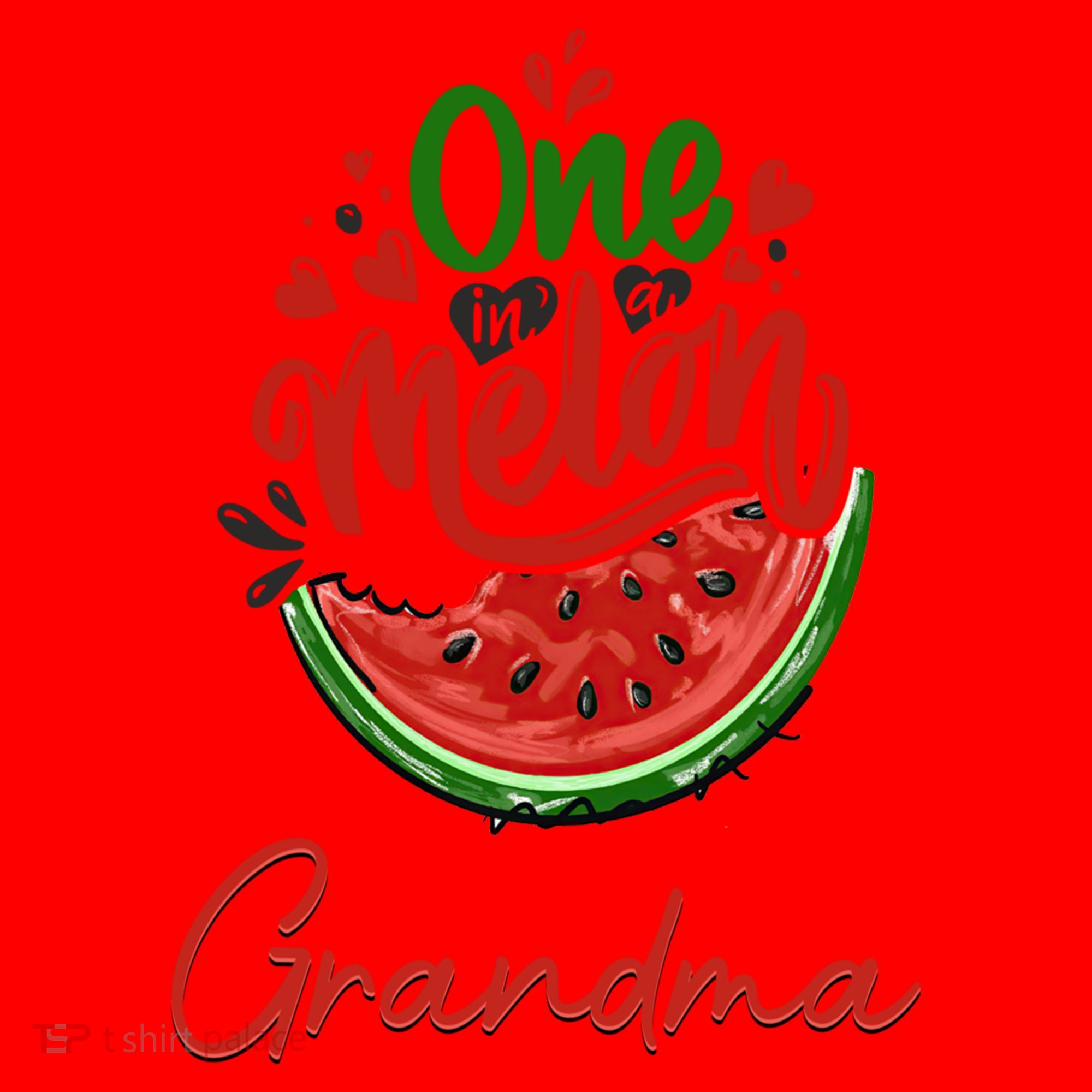 Funny One In A Melon Grandma Matching Group Funny Gift Santa Hat