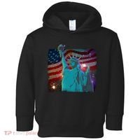 Fourth Of July Fireworks Statue Of Liberty Toddler Hoodie thumb 0