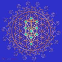 Flower Of Life Tree Of Life Sacred Geometry Kabbalah Funny Gift Women's Tank Top thumb 5