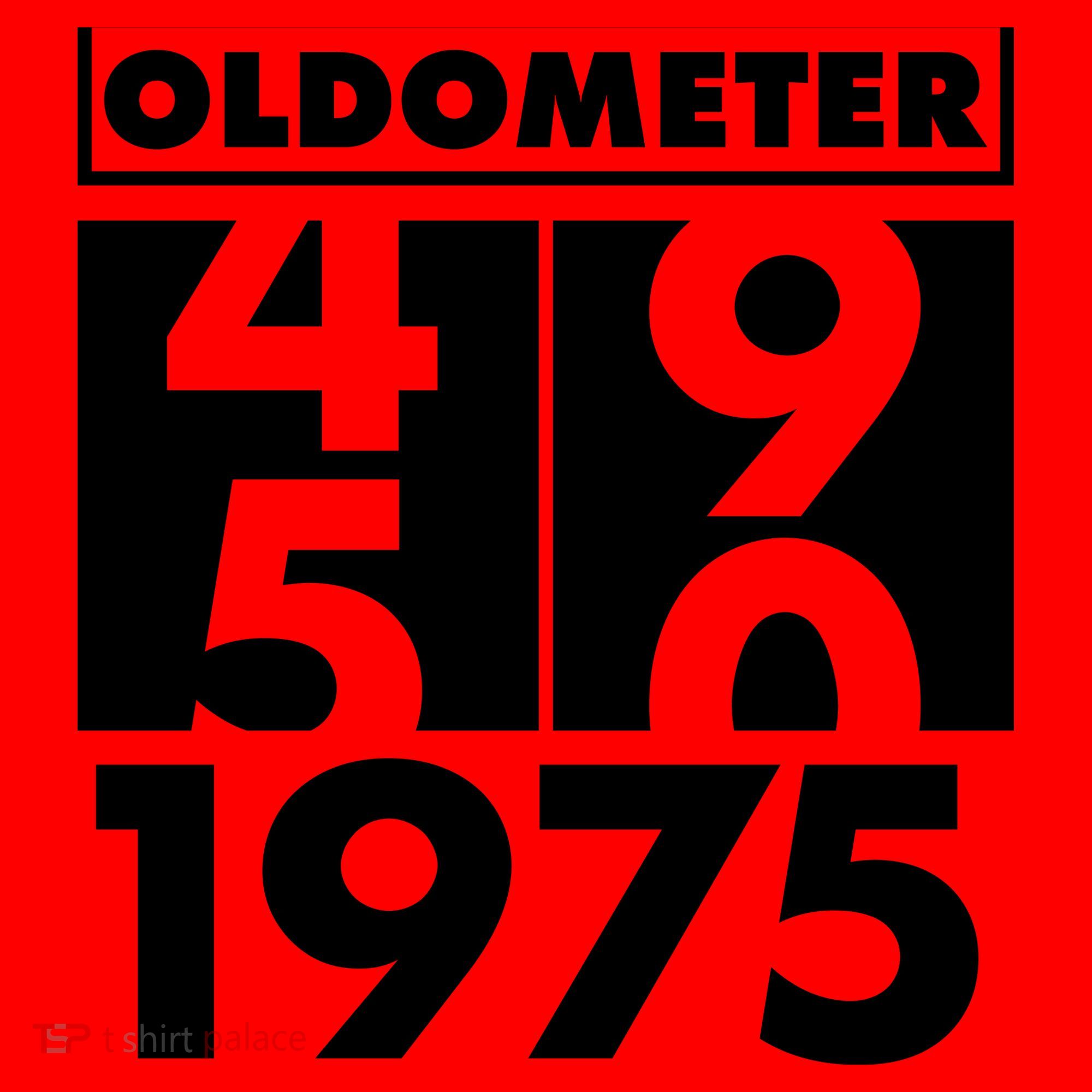 Funny Oldometer Made In 1975 50th Birthday Santa Hat