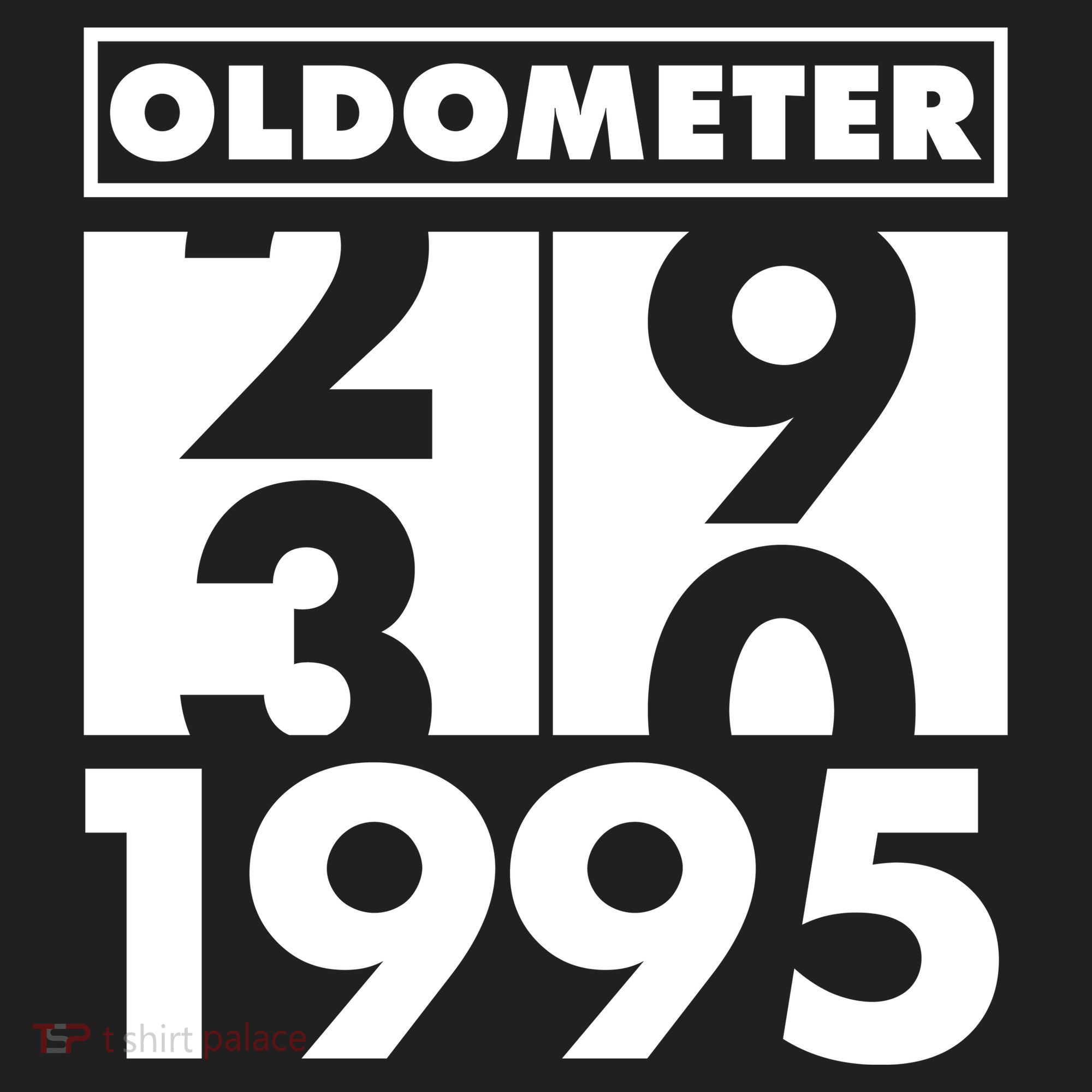 Funny Oldometer Made In 1995 30th Birthday Hat