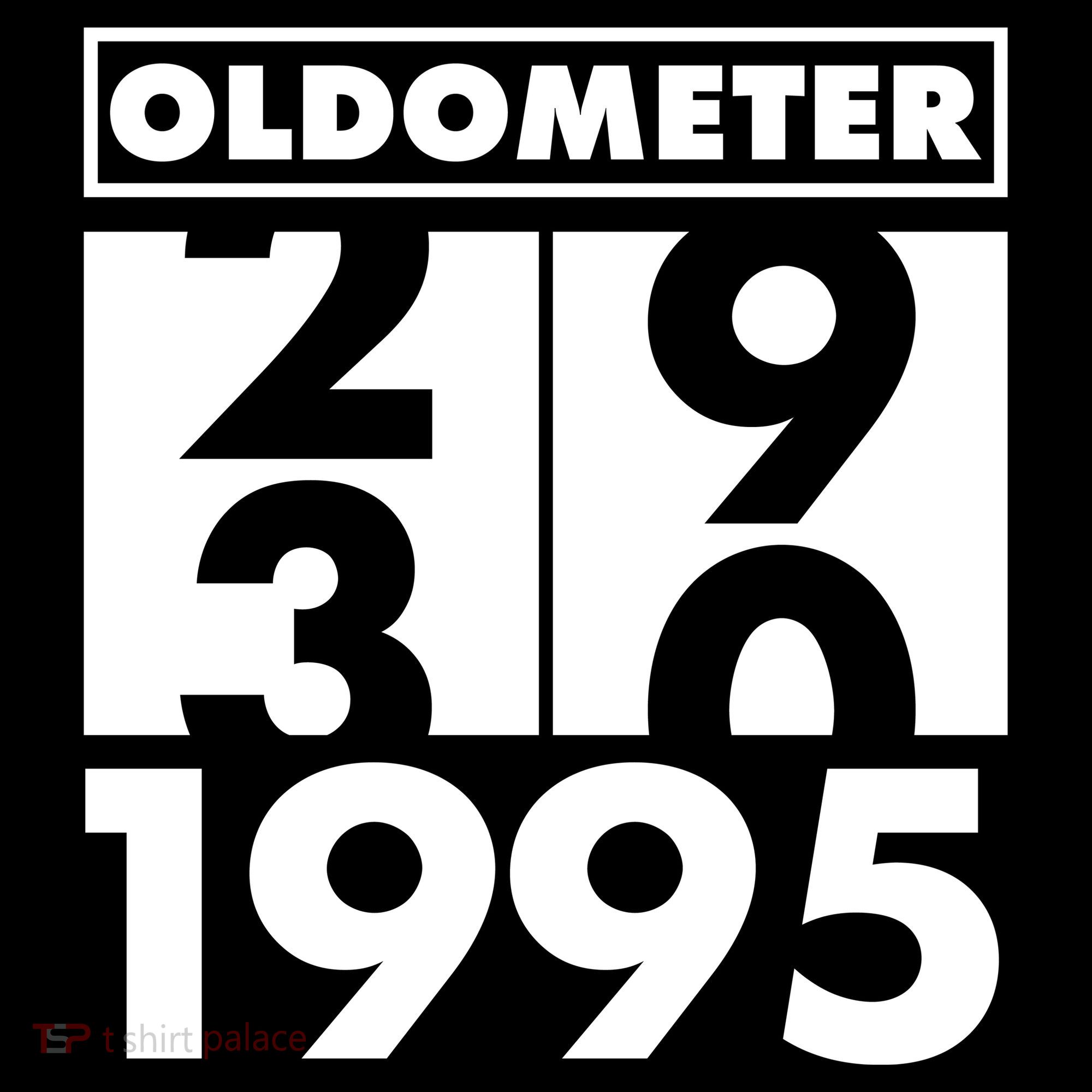 Funny Oldometer Made In 1995 30th Birthday Visor