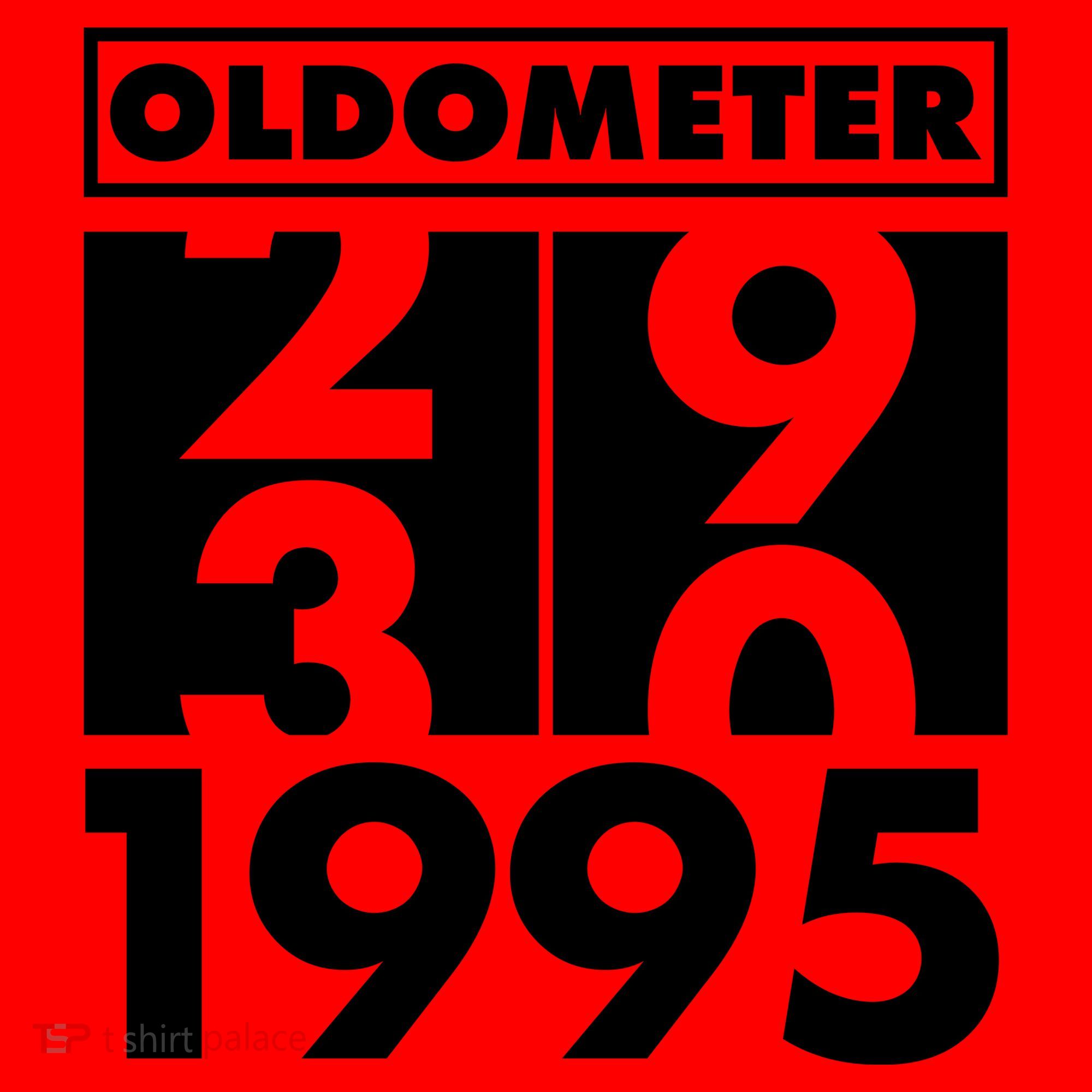 Funny Oldometer Made In 1995 30th Birthday Santa Hat