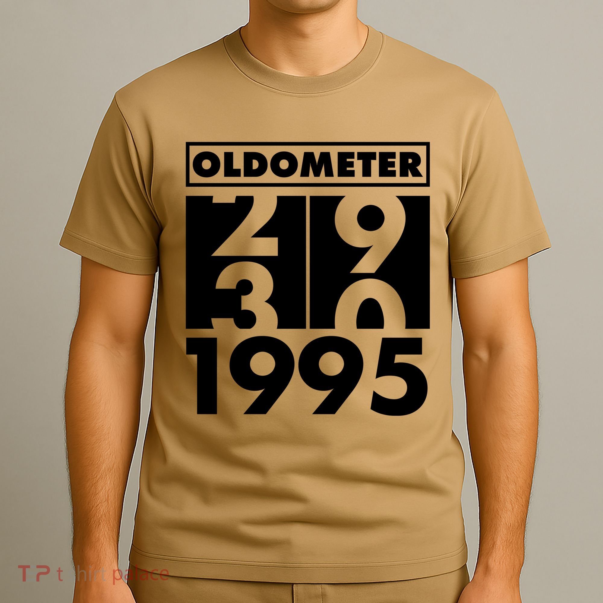Funny Oldometer Made In 1995 30th Birthday T-Shirt