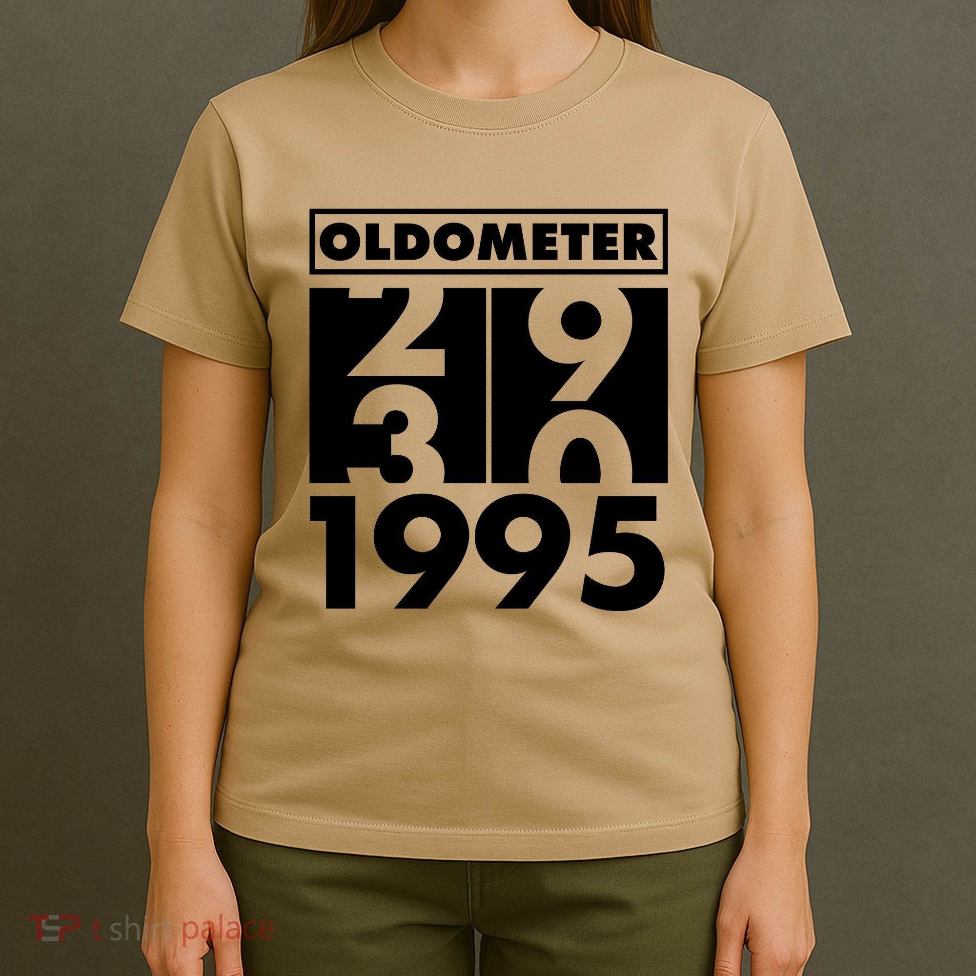 Funny Oldometer Made In 1995 30th Birthday T-Shirt