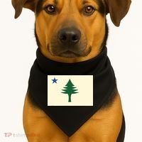 Flag Of Maine 1901 Maine State Flag Pine Tree State USA-Made Doggie Bandana thumb 1