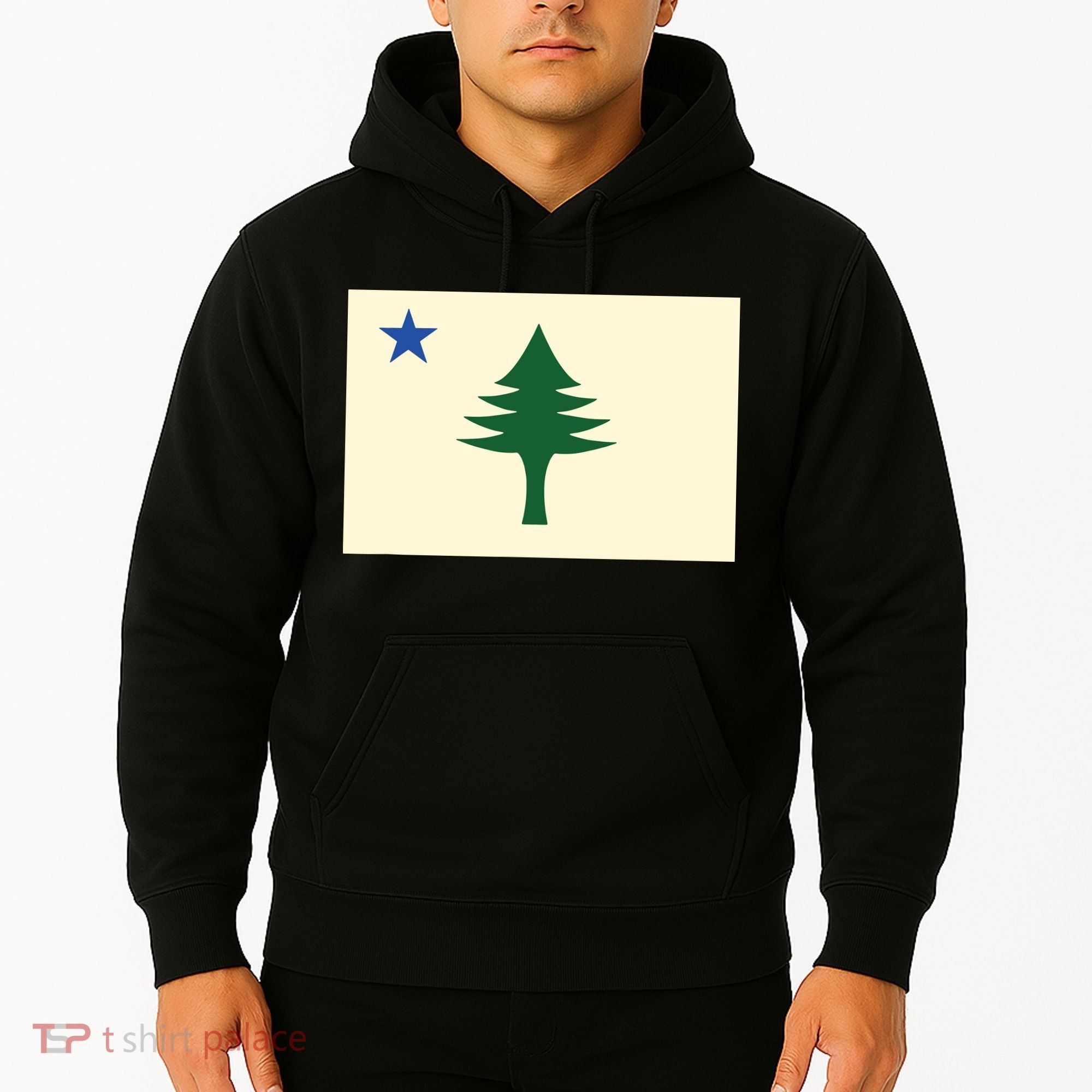 Flag Of Maine 1901 Maine State Flag Pine Tree State Hoodie