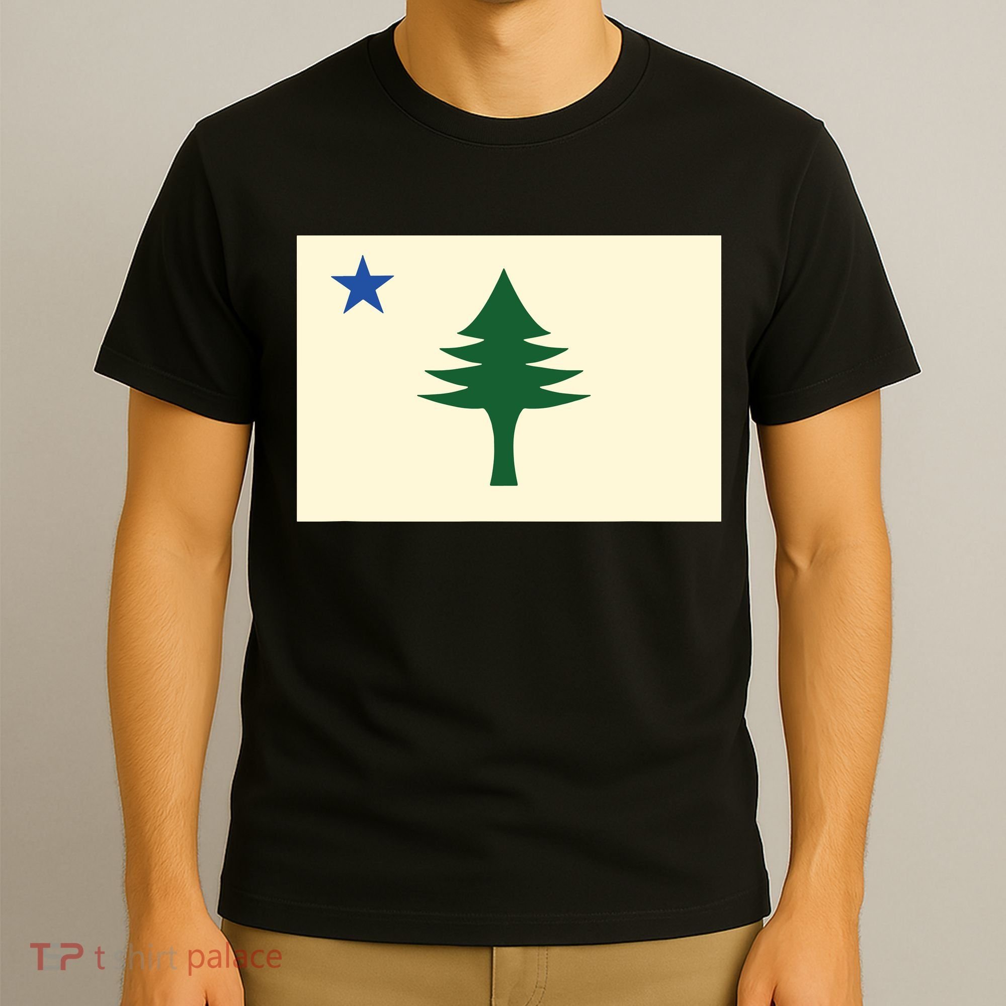 Flag Of Maine 1901 Maine State Flag Pine Tree State T-Shirt