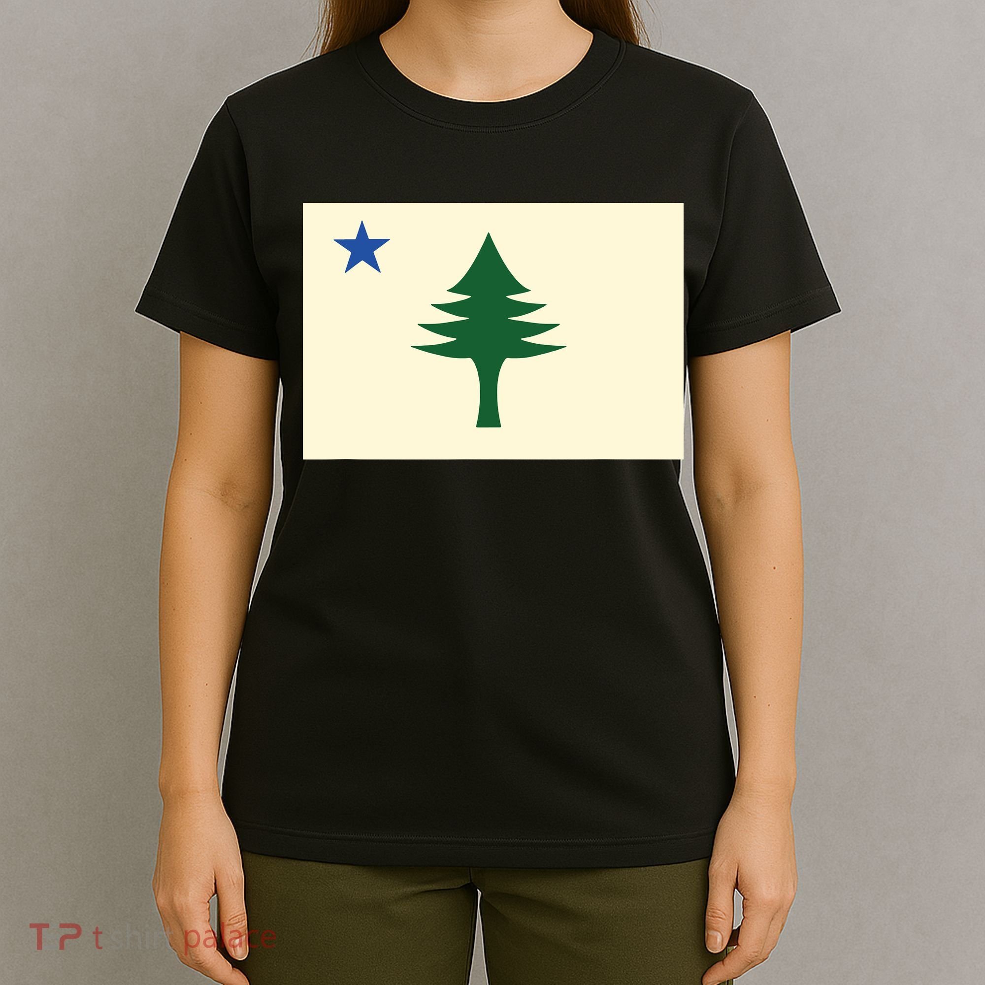 Flag Of Maine 1901 Maine State Flag Pine Tree State T-Shirt
