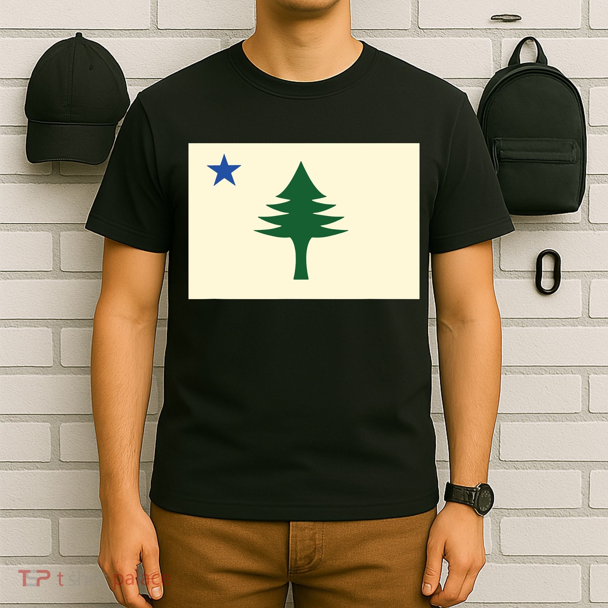 Flag Of Maine 1901 Maine State Flag Pine Tree State T-Shirt