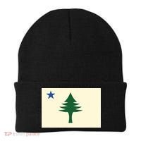 Flag Of Maine 1901 Maine State Flag Pine Tree State Beanie thumb 0