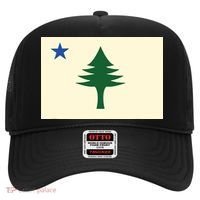 Flag Of Maine 1901 Maine State Flag Pine Tree State Hat thumb 0