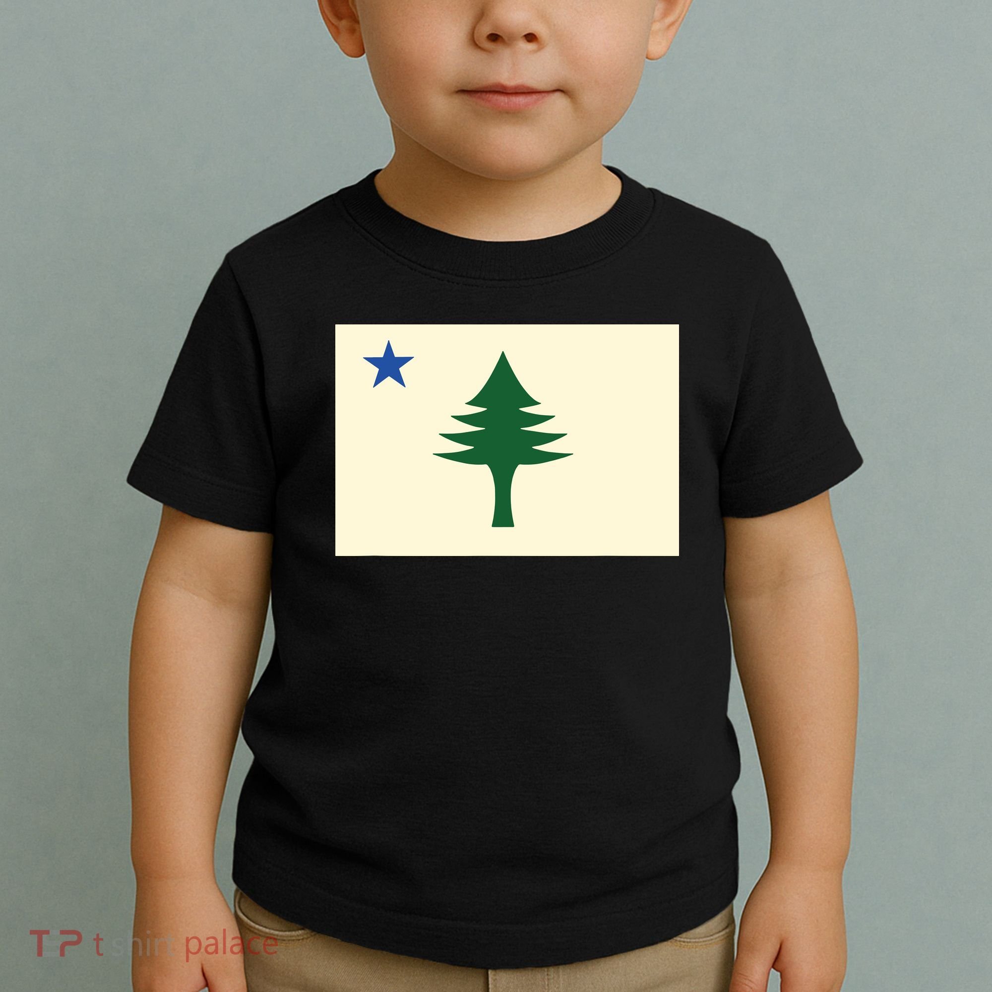 Flag Of Maine 1901 Maine State Flag Pine Tree State Toddler T-Shirt