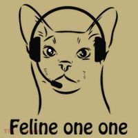 Feline One One Funny 911 Dispatcher Cat Lover Saying Hoodie thumb 7