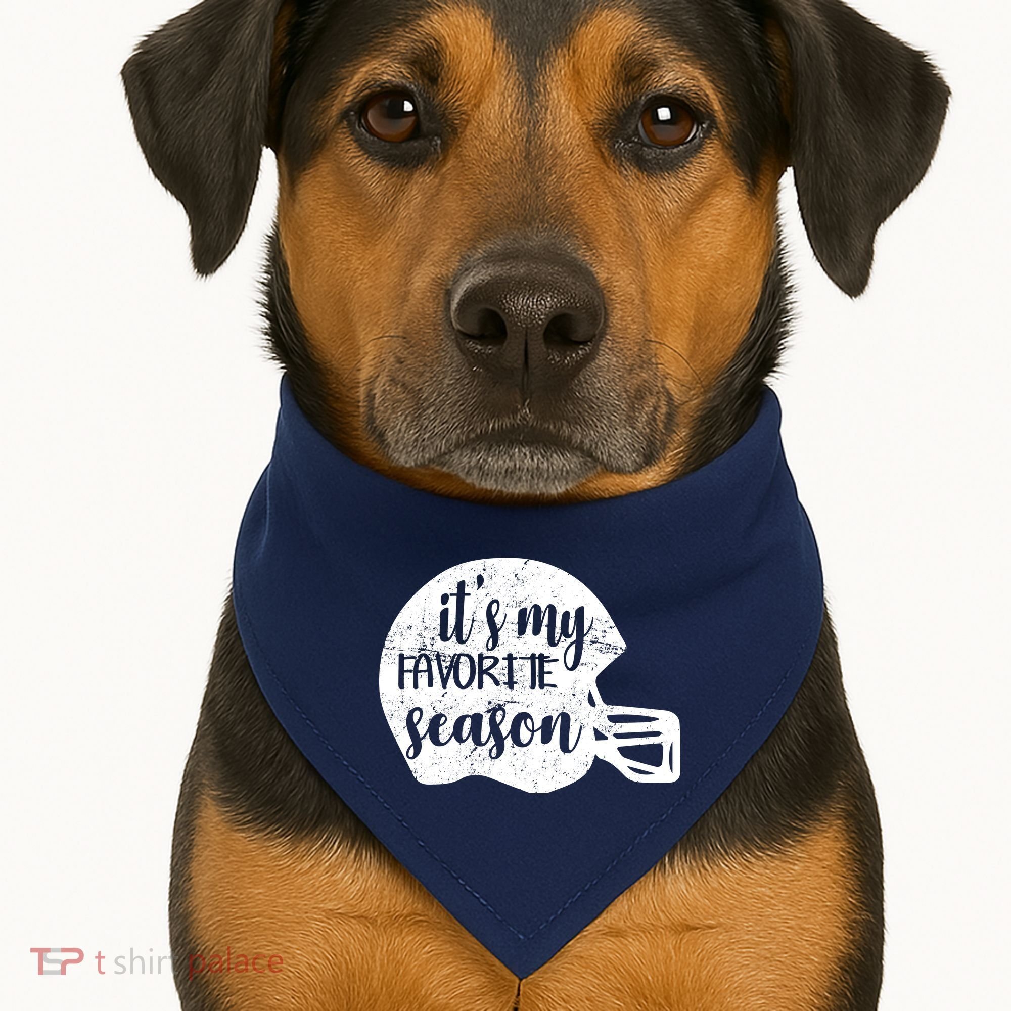 Football It's My favorite Season USA-Made Doggie Bandana