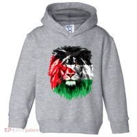 Flag Of Palestine Lion Face Palestine Flag Toddler Hoodie thumb 0