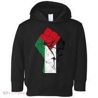 Fist of Palestine Free Palestine Toddler Hoodie thumb 0