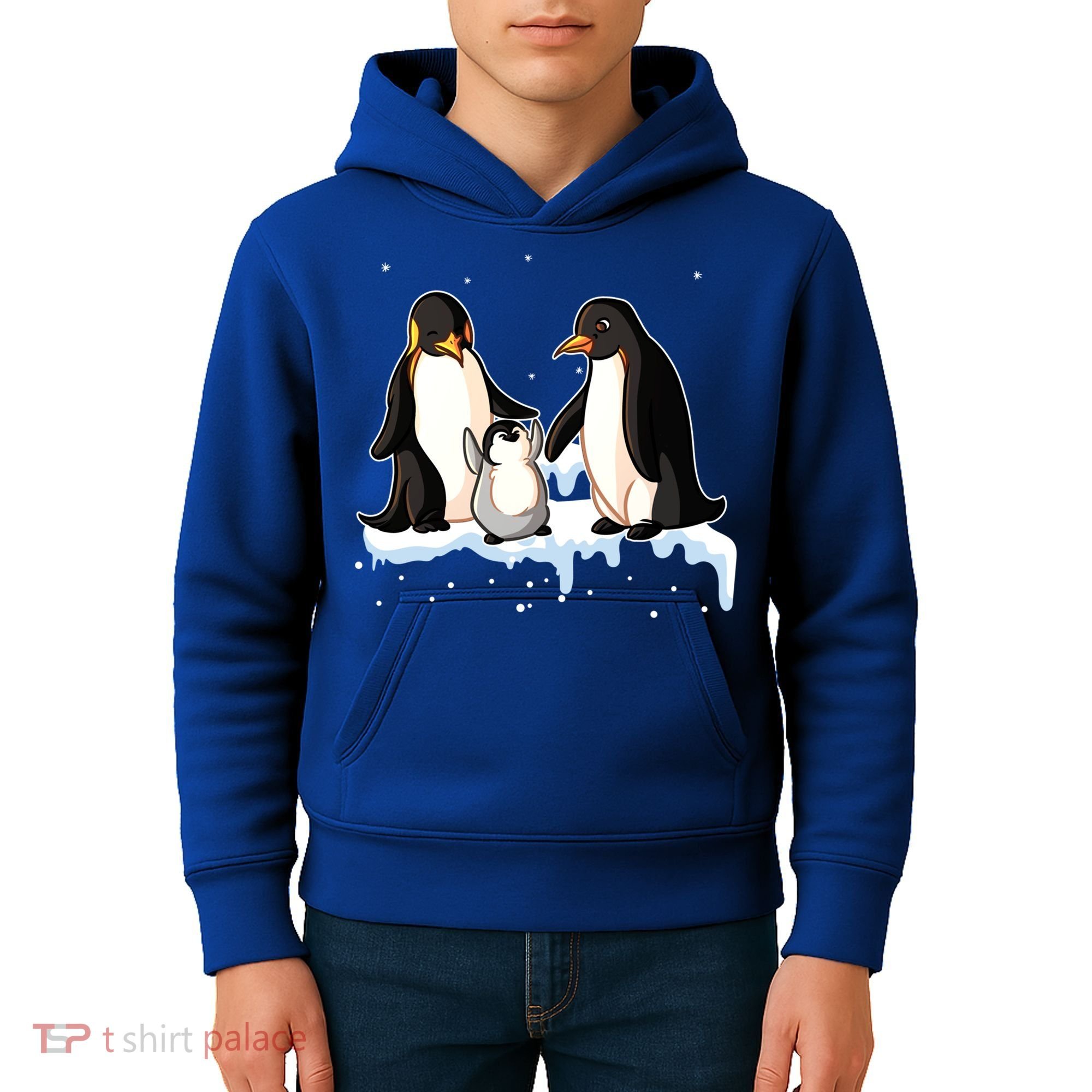 Family Of Penguin Funny Gift Kids Hoodie