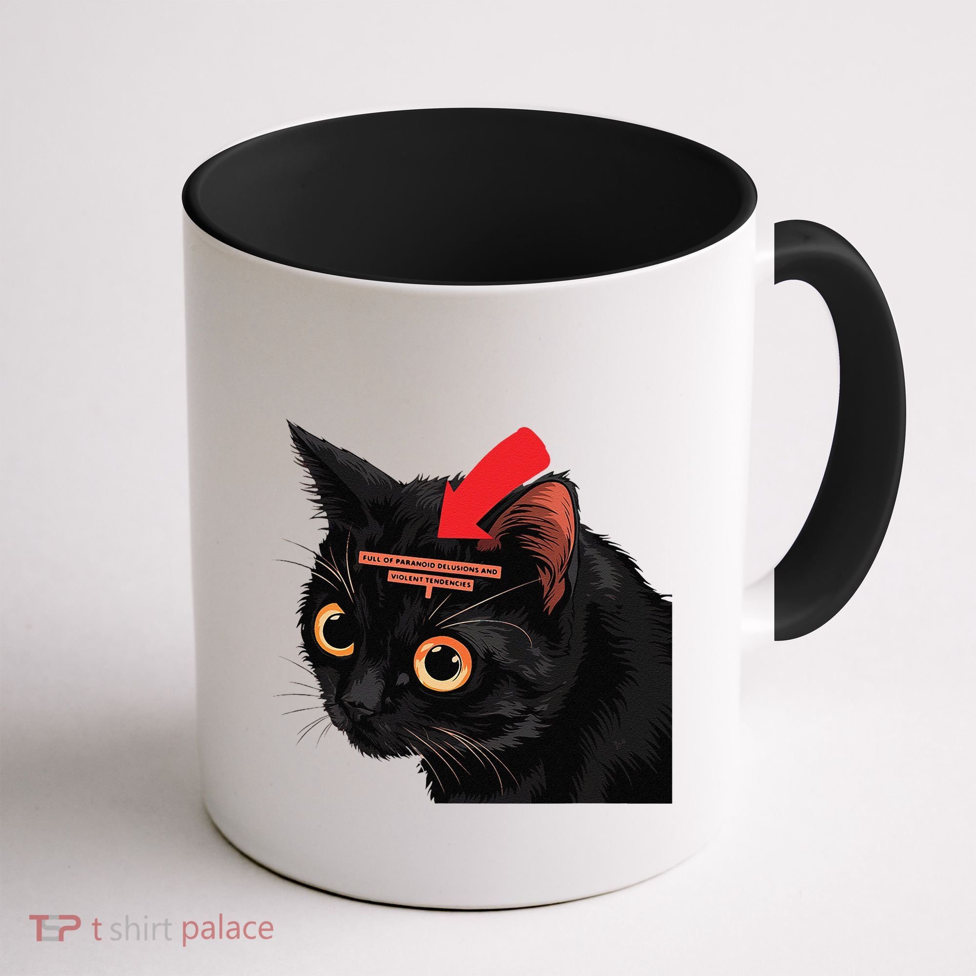 Full Of Paranoid Delusions And Violent Funny Meme Cat Coffee Mug