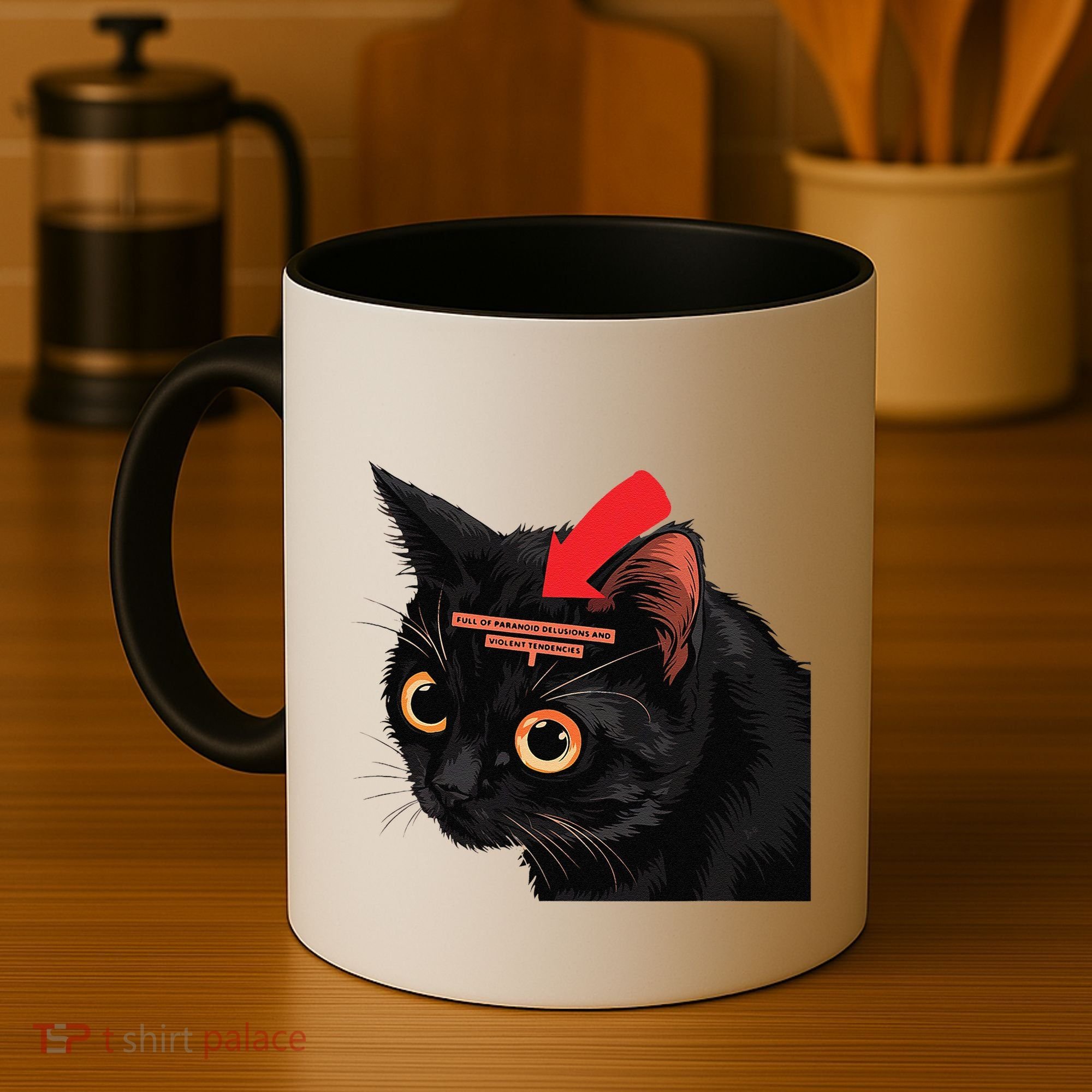 Full Of Paranoid Delusions And Violent Funny Meme Cat Coffee Mug