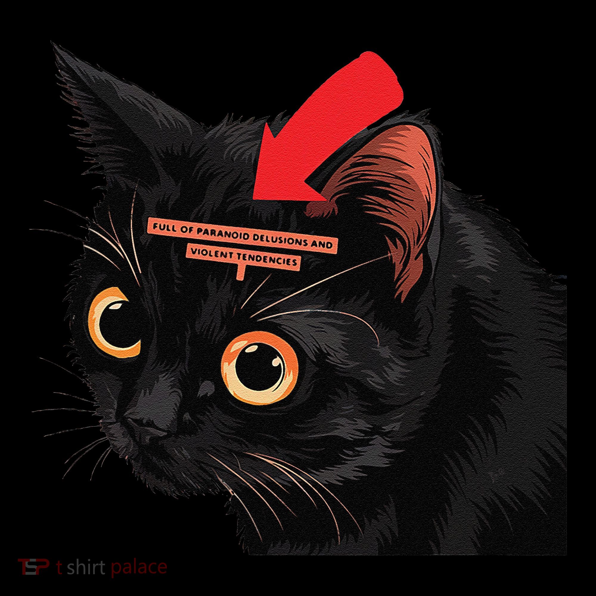 Full Of Paranoid Delusions And Violent Funny Meme Cat Coffee Mug
