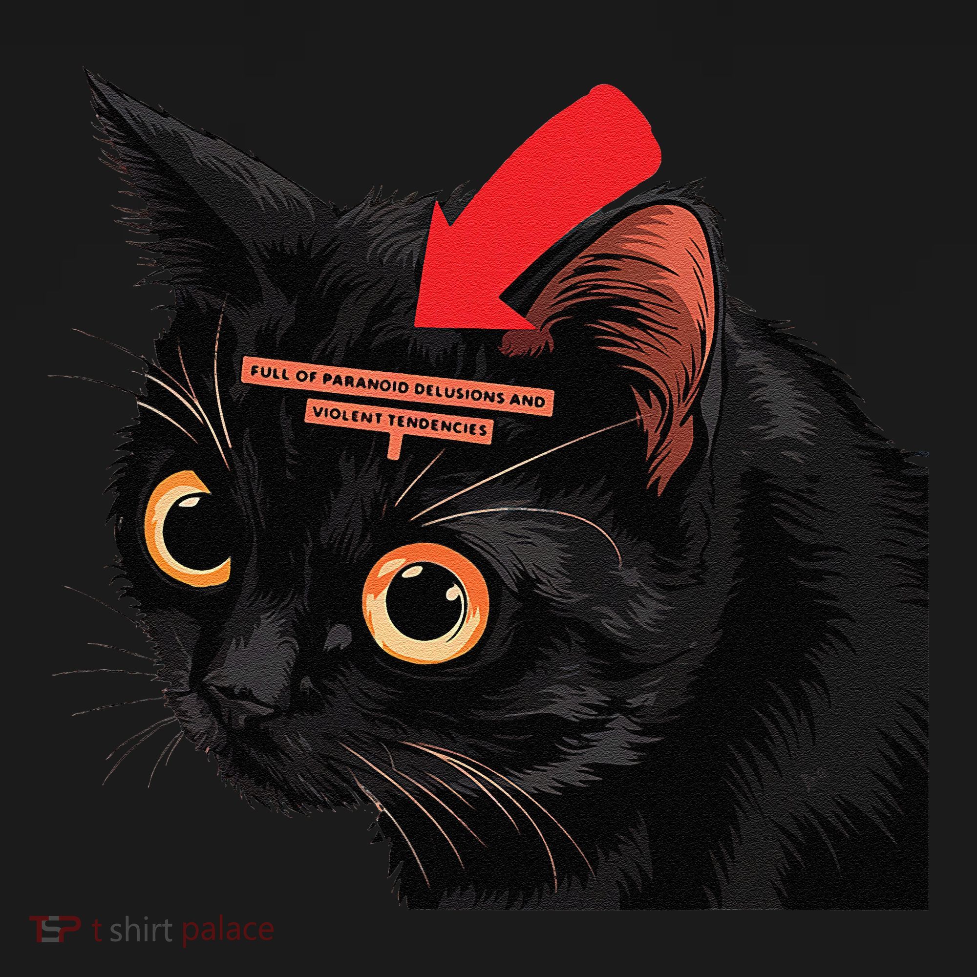 Full Of Paranoid Delusions And Violent Funny Meme Cat Women's Hoodie