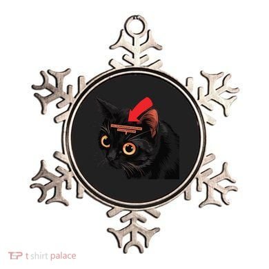 Full Of Paranoid Delusions And Violent Funny Meme Cat Ornament