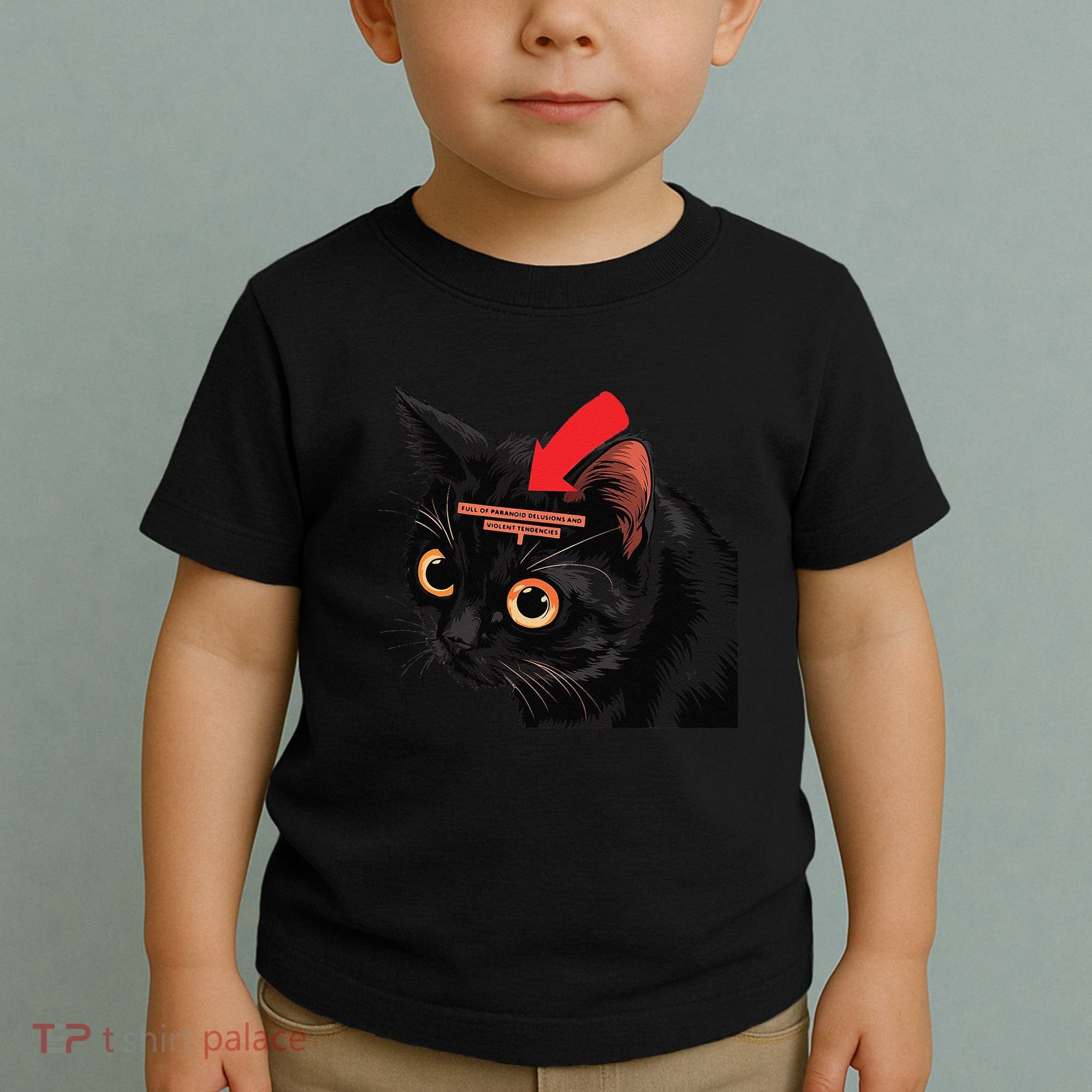 Full Of Paranoid Delusions And Violent Funny Meme Cat Toddler T-Shirt