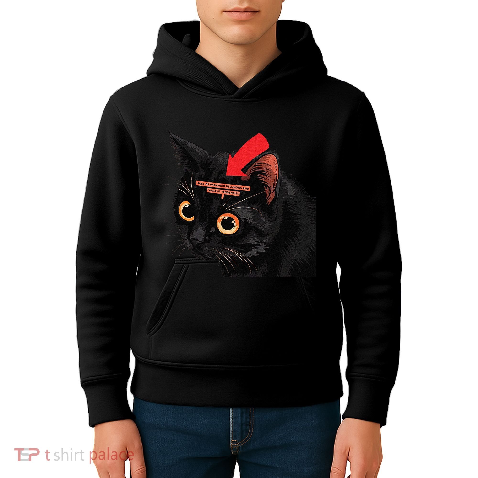 Full Of Paranoid Delusions And Violent Funny Meme Cat Kids Hoodie