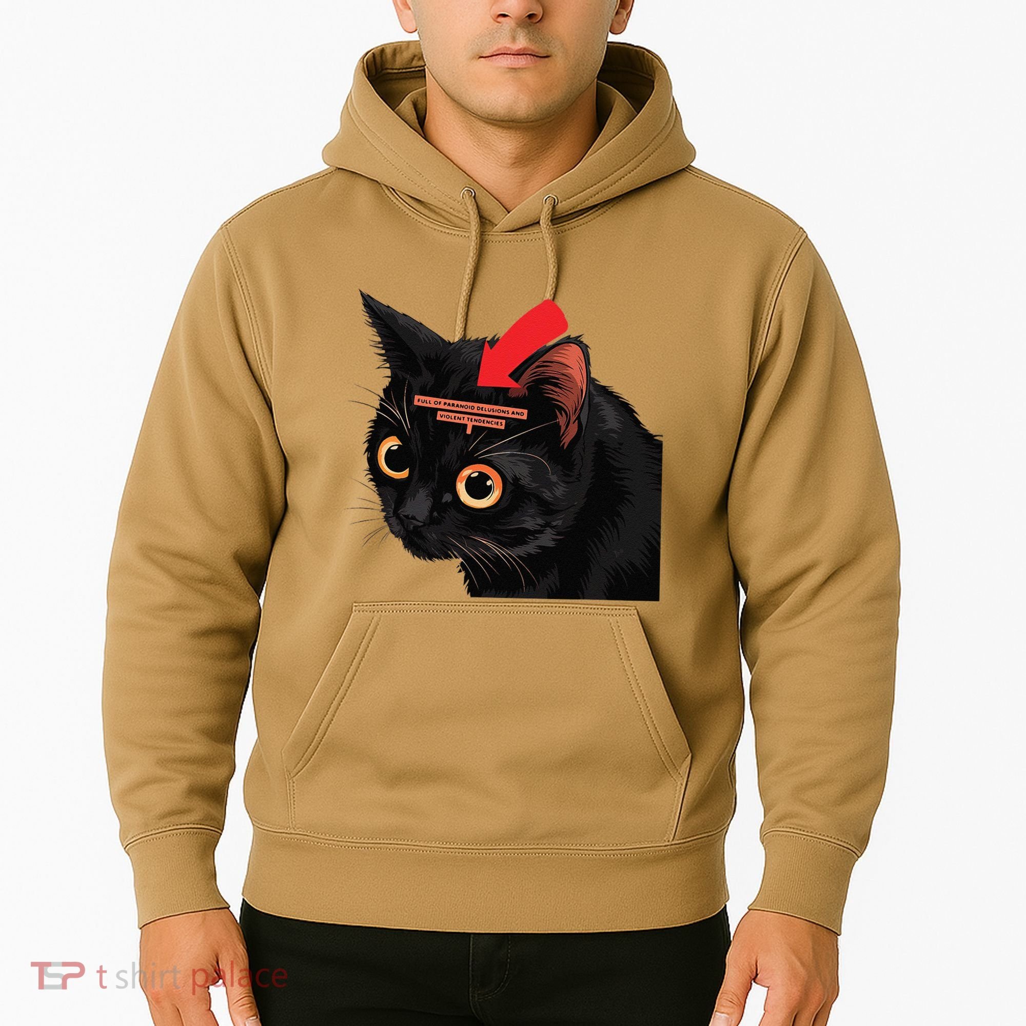 Full Of Paranoid Delusions And Violent Funny Meme Cat Hoodie