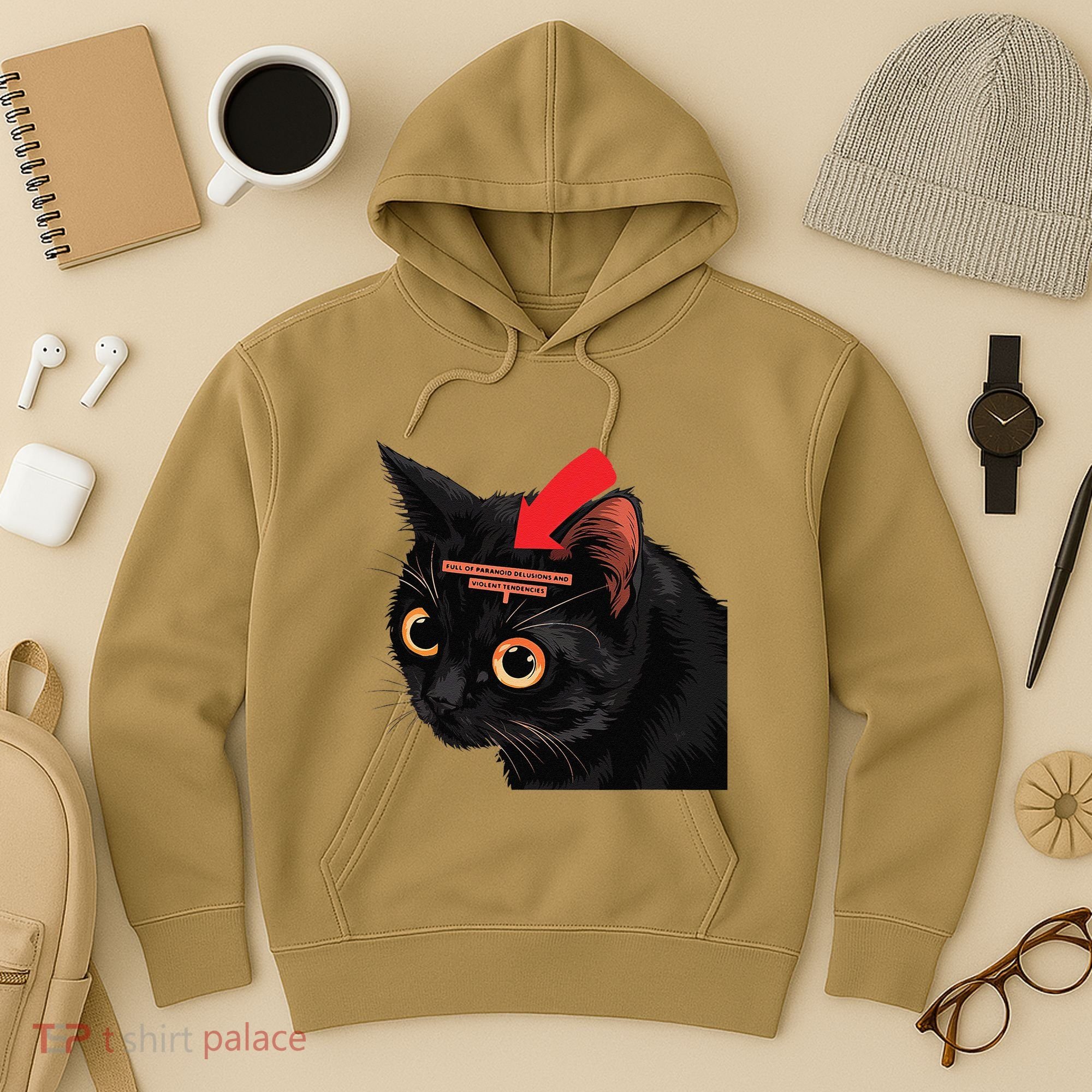 Full Of Paranoid Delusions And Violent Funny Meme Cat Hoodie