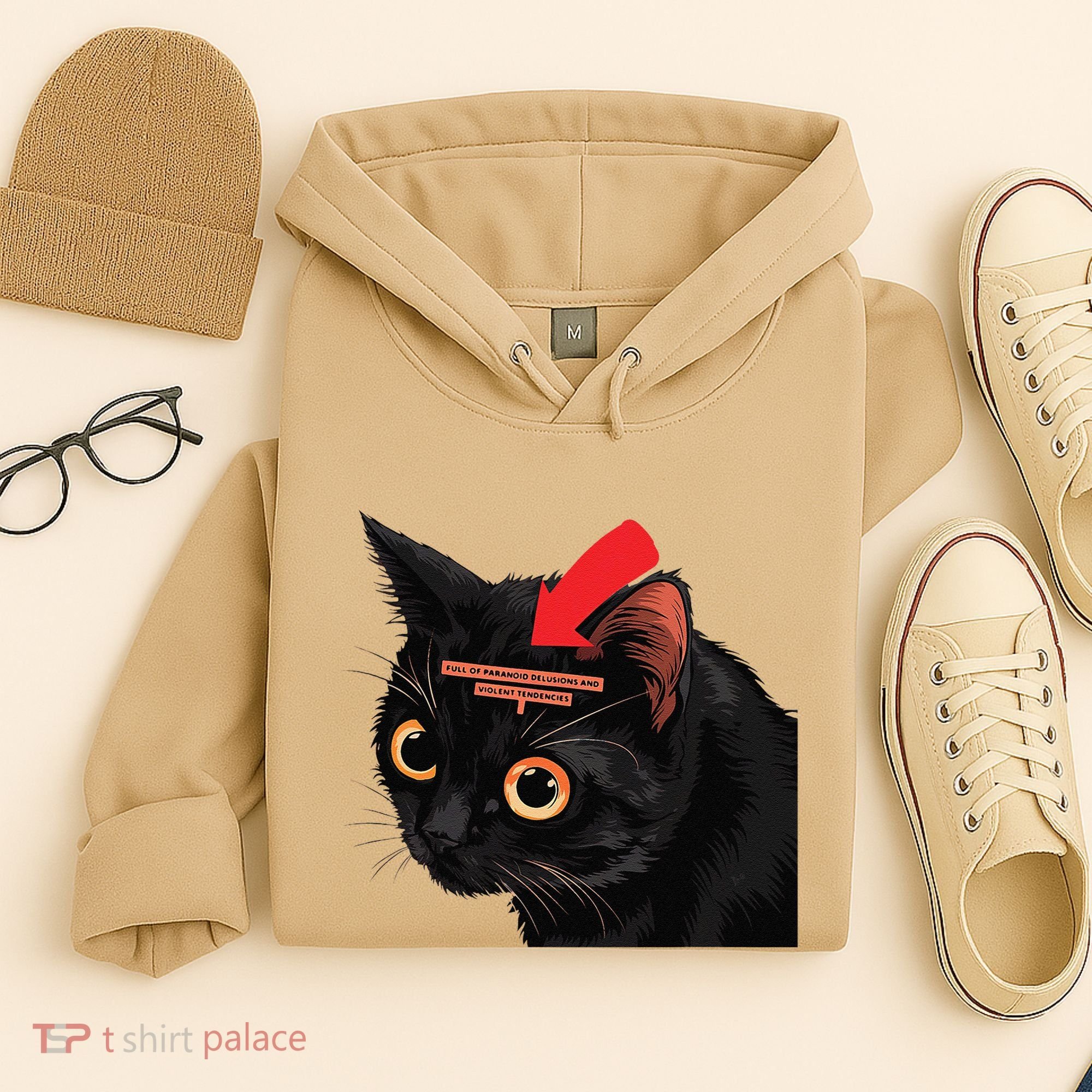Full Of Paranoid Delusions And Violent Funny Meme Cat Hoodie