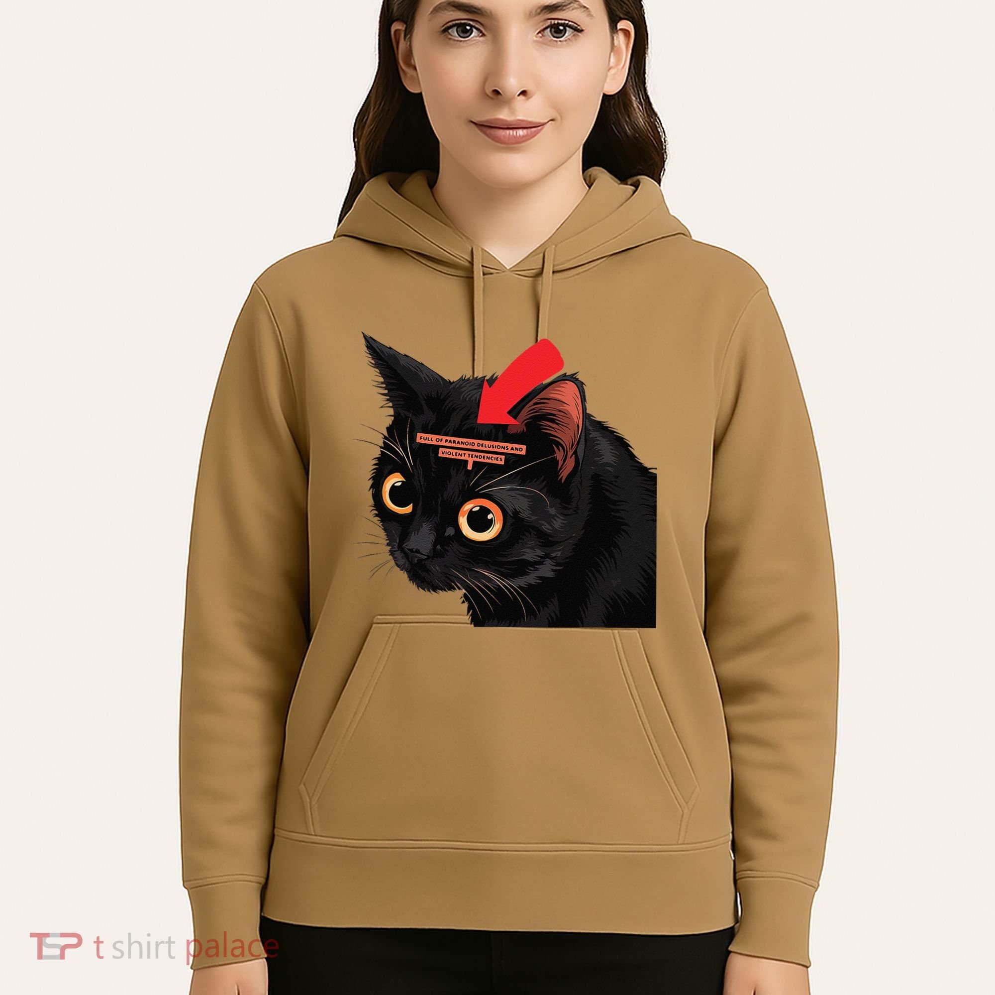 Full Of Paranoid Delusions And Violent Funny Meme Cat Hoodie