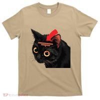 Full Of Paranoid Delusions And Violent Funny Meme Cat T-Shirt thumb 0