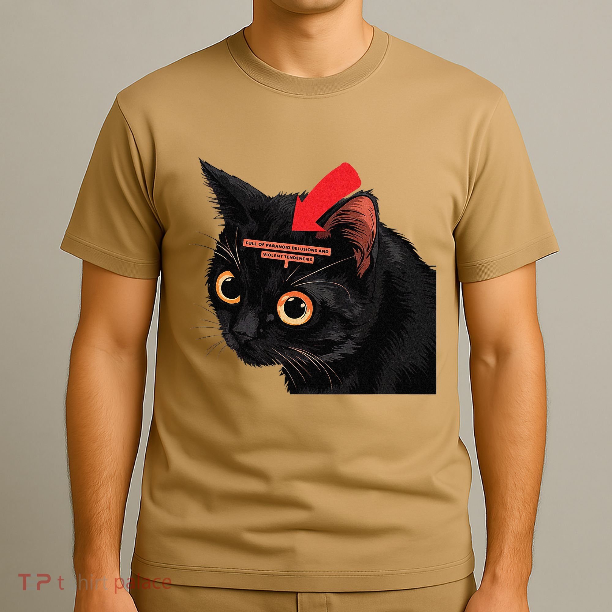 Full Of Paranoid Delusions And Violent Funny Meme Cat T-Shirt