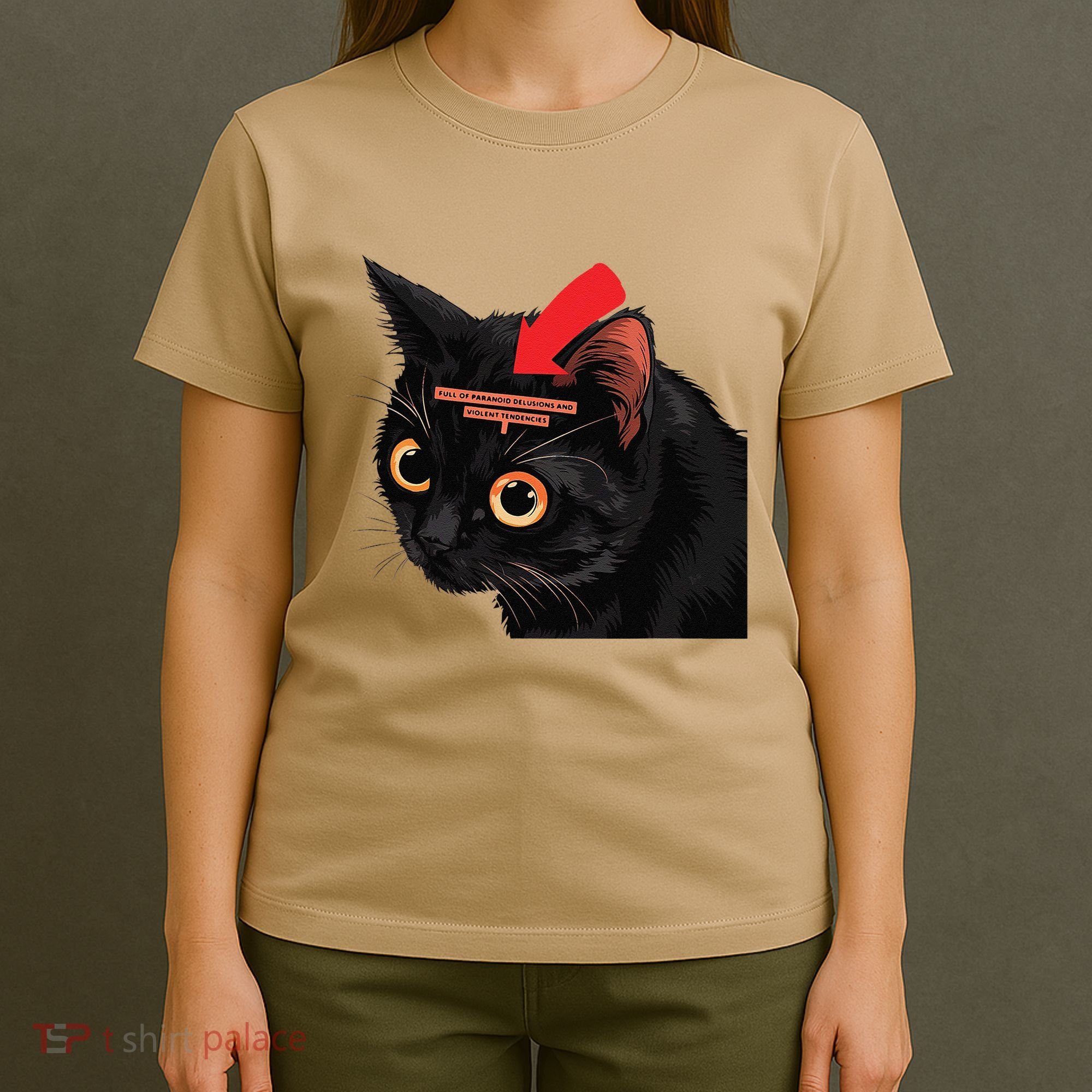 Full Of Paranoid Delusions And Violent Funny Meme Cat T-Shirt
